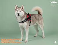 Arnés "Ergonomic Fit"