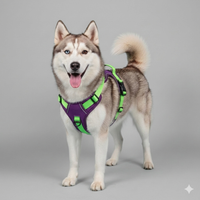 Arnés "Power Guard"