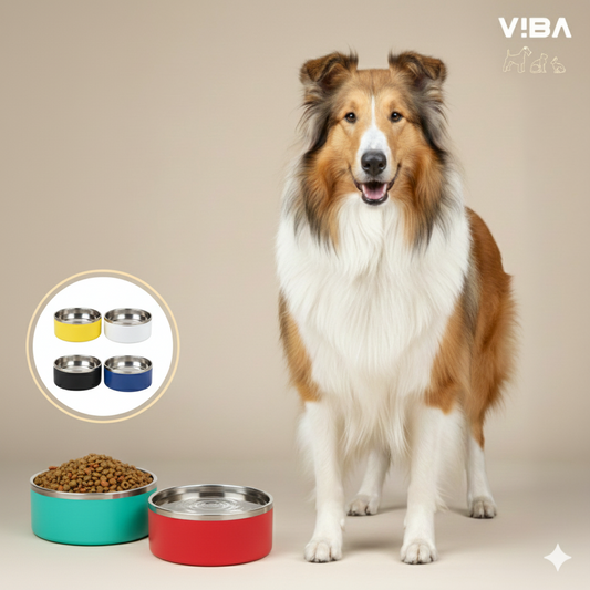 Plato "Gourmet Bowl"