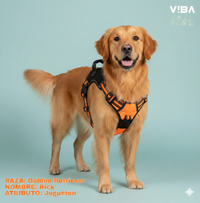 Arnés "Max Fit Pro"