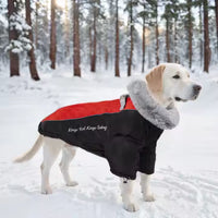 Abrigo Impermeable para Mascotas "WeatherGuard"