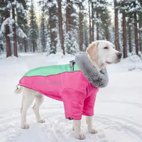 Abrigo Impermeable para Mascotas "WeatherGuard"