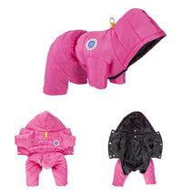 Traje Protector para Mascotas "PawGuard"