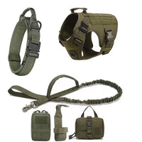 Set de Arnés y Correa "Explorer Guard"