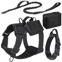 Set de Arnés y Correa "Adventure Guard"