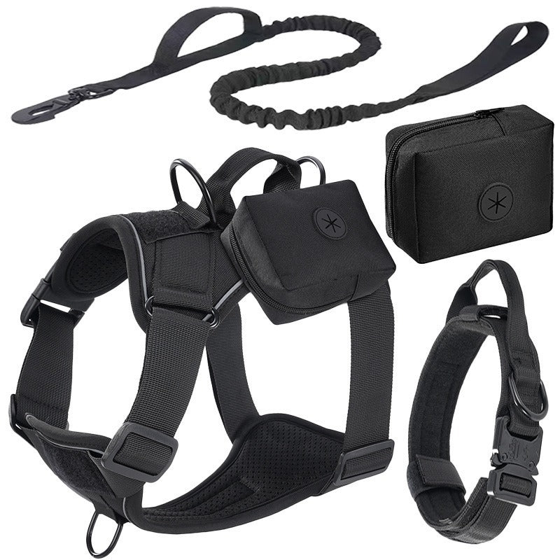Set de Arnés y Correa "Adventure Guard"