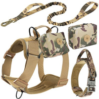 Set de Arnés y Correa "Adventure Guard"