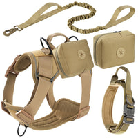 Set de Arnés y Correa "Adventure Guard"