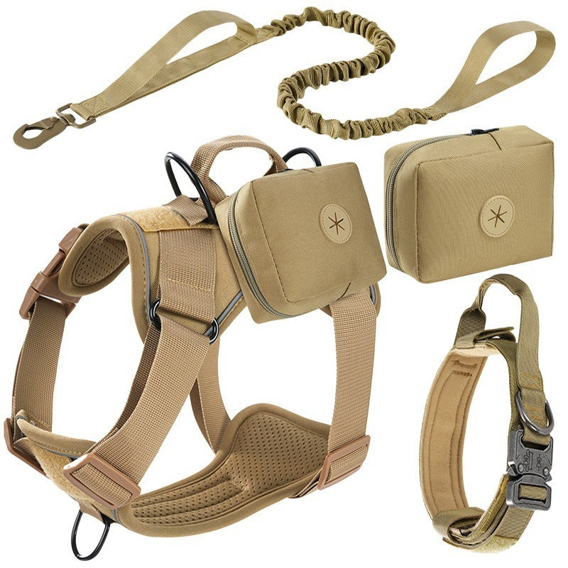 Set de Arnés y Correa "Adventure Guard"