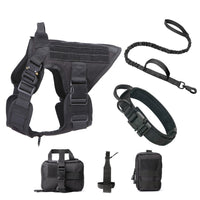Set de Arnés y Correa "Explorer Guard"