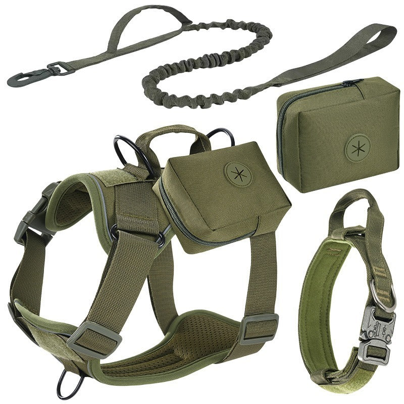 Set de Arnés y Correa "Adventure Guard"