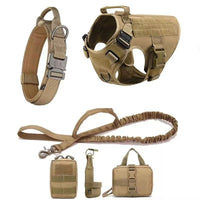Set de Arnés y Correa "Explorer Guard"