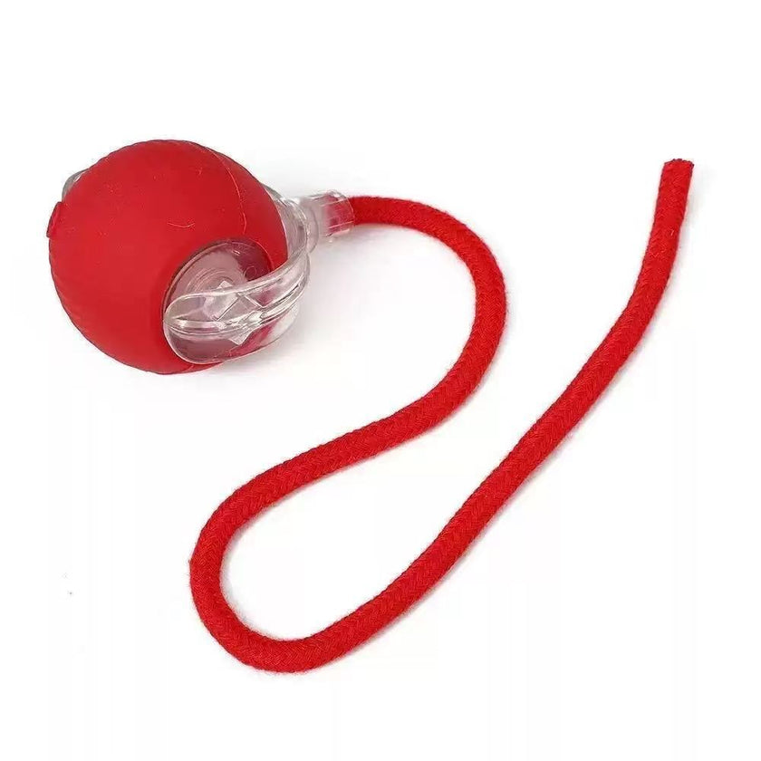 Juguete Interactivo "Mouse Ball"