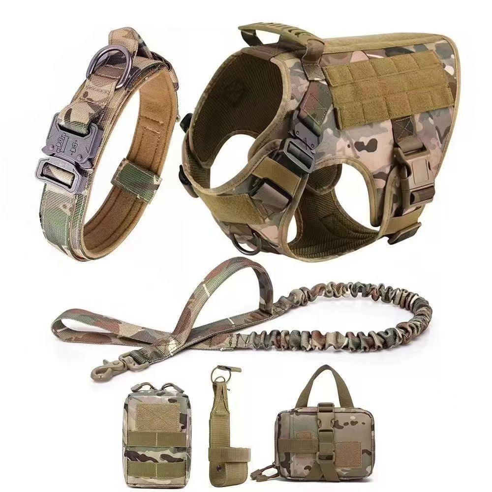 Set de Arnés y Correa "Explorer Guard"