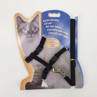 Set de Arnés y Correa -Cat Paws-