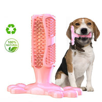 Juguete Mordedor "Dental Paw"