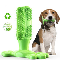 Juguete Mordedor "Dental Paw"