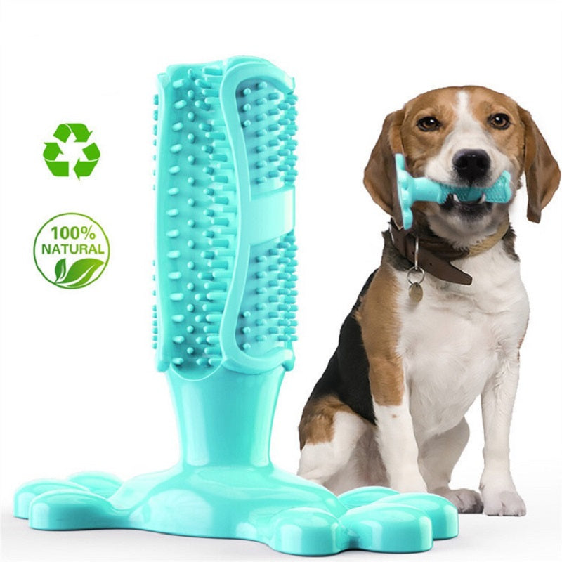 Cepillo Mordedor "DentalPaw"