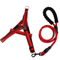 Set de Paseo “Dynamic Grip”