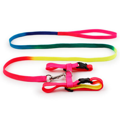 Set de Arnés y Correa "Cat Paws"