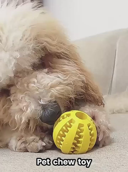 Pelota Dental "DentalChew Ball"