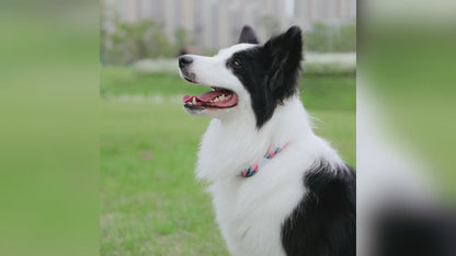 Collar "Camouflage Style"