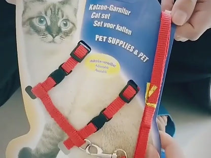 Set de Arnés y Correa "Cat Paws"