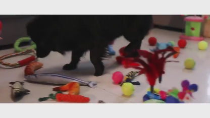 Juguete de Tracción -Tug Ball-